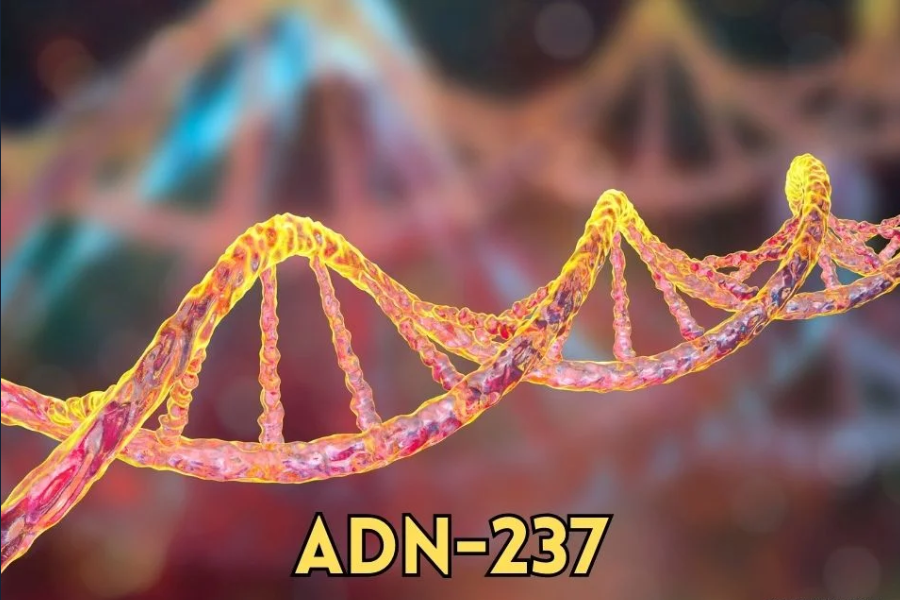 ADN-237